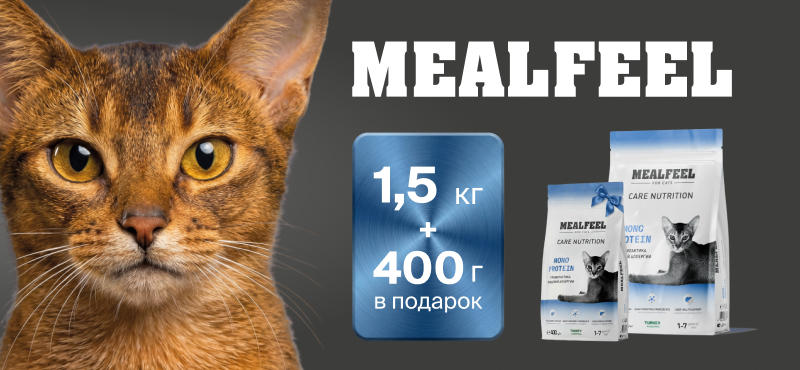 Позаботьтесь о любимце с выгодой: акция от Mealfeel в «Четыре Лапы»!
